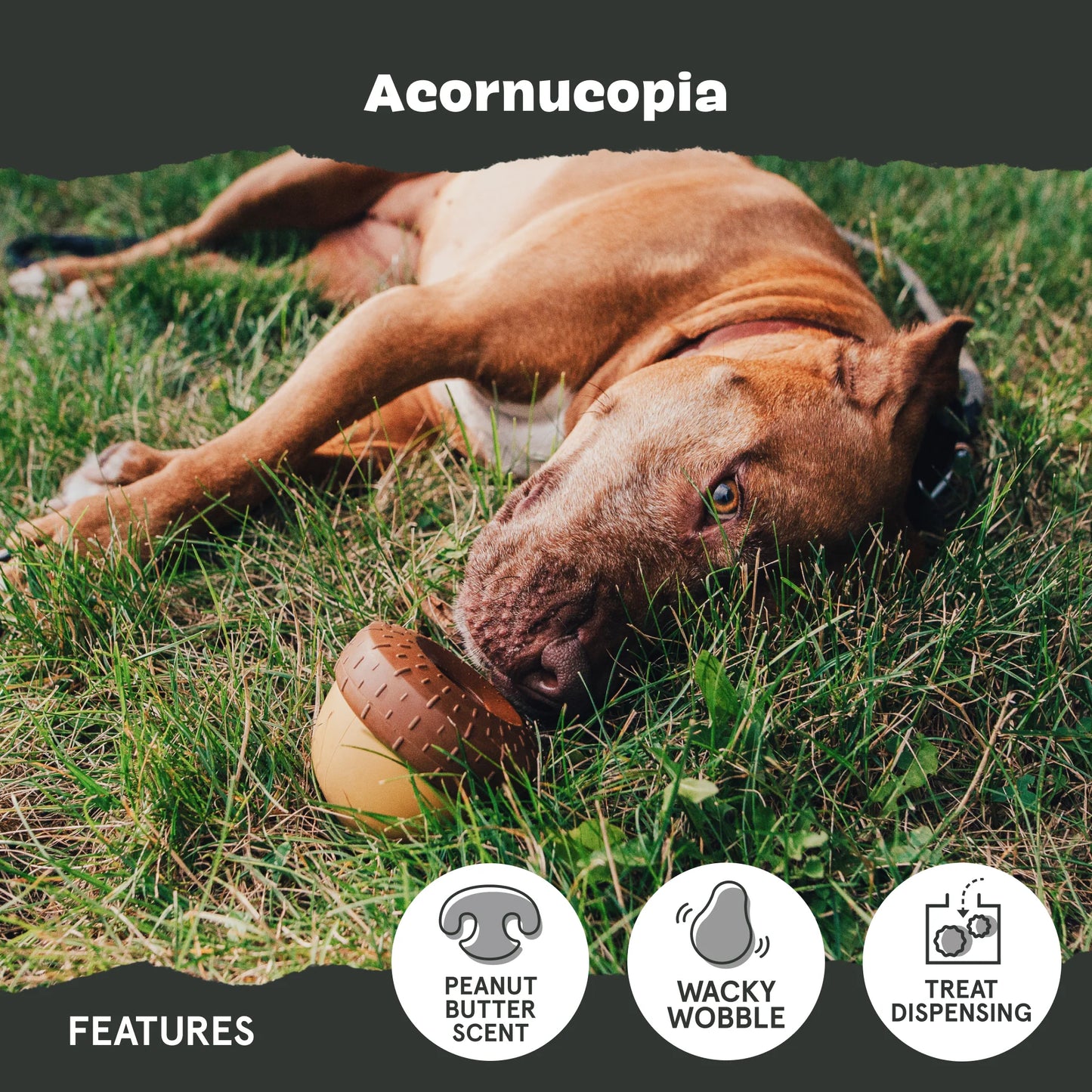 BARK Acornucopia – Large