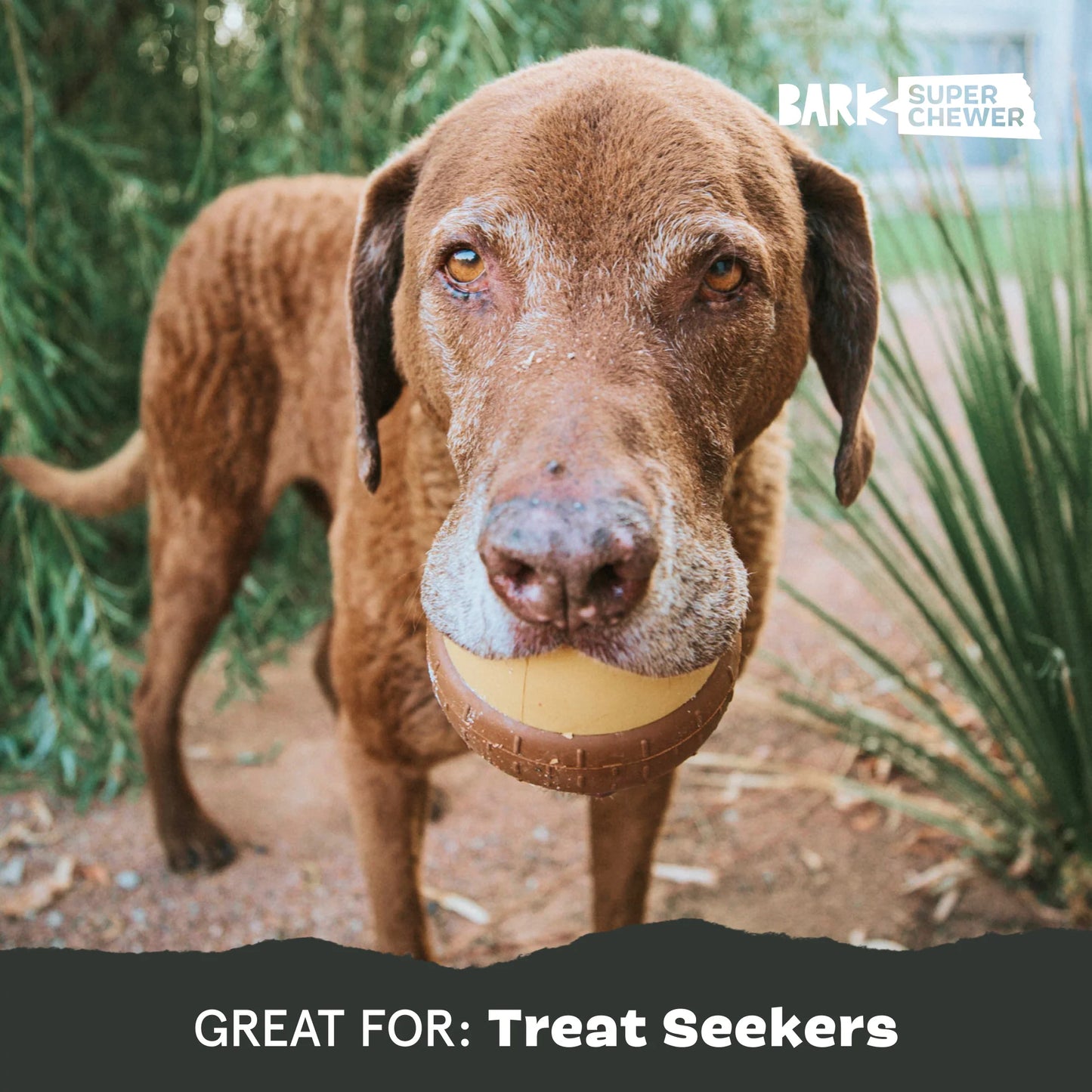 BARK Acornucopia – Large