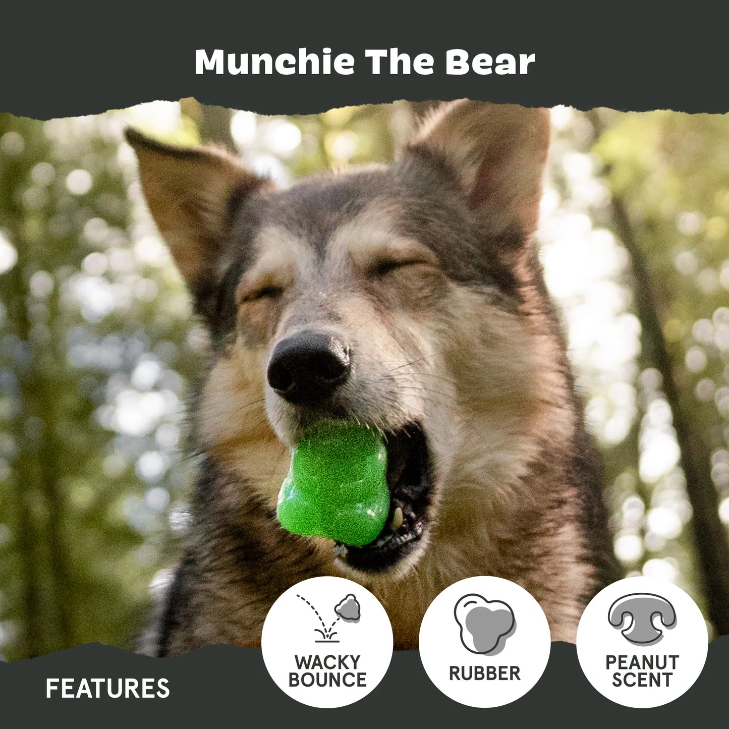 BARK Munchie The Bear Dog Toy
