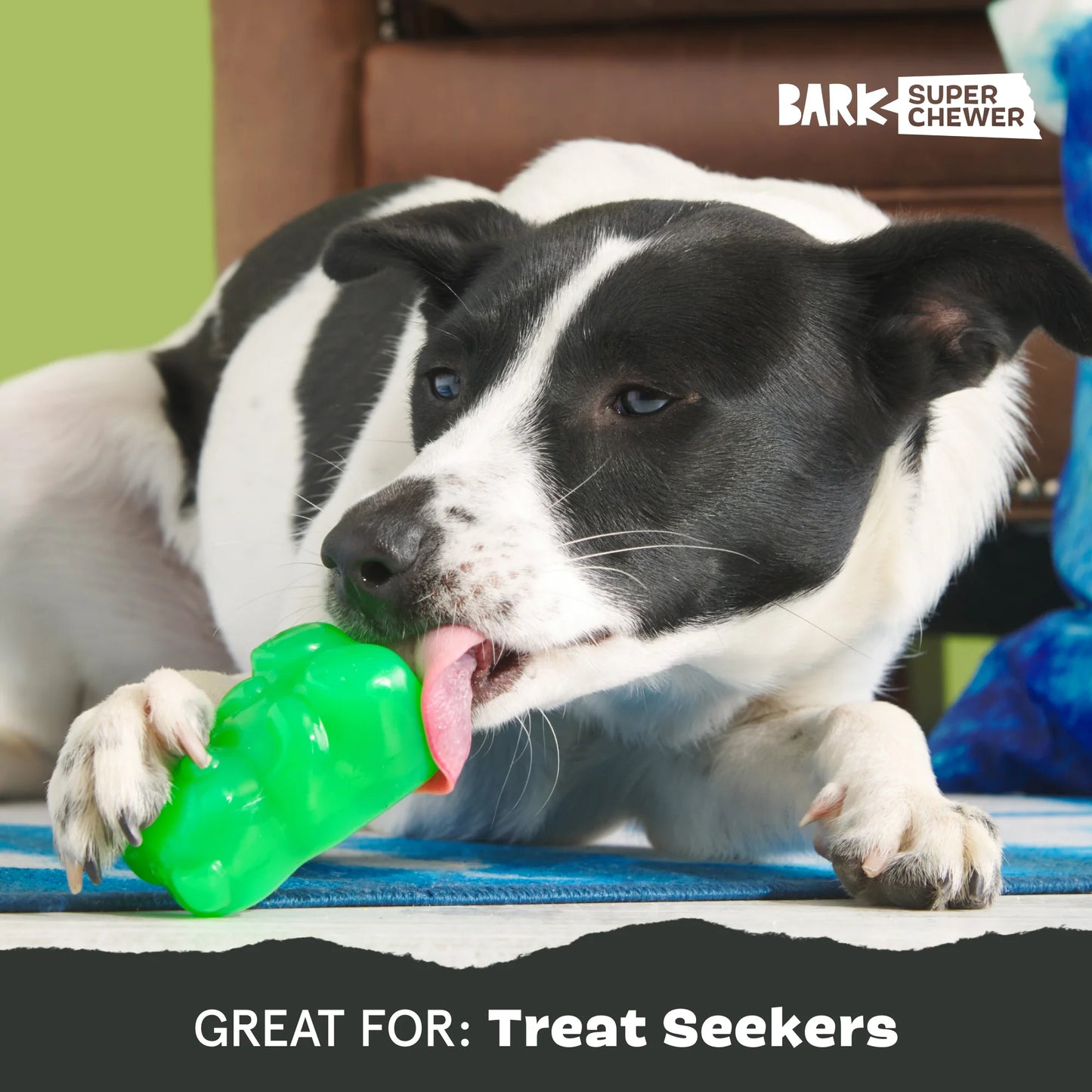 BARK Munchie The Bear Dog Toy