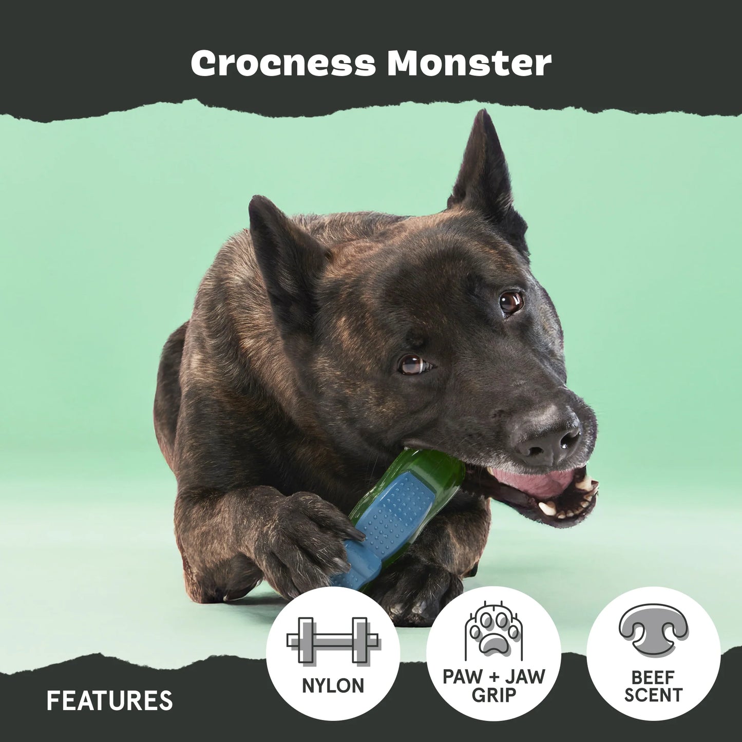 BARK Crocness Monster Dog Toy