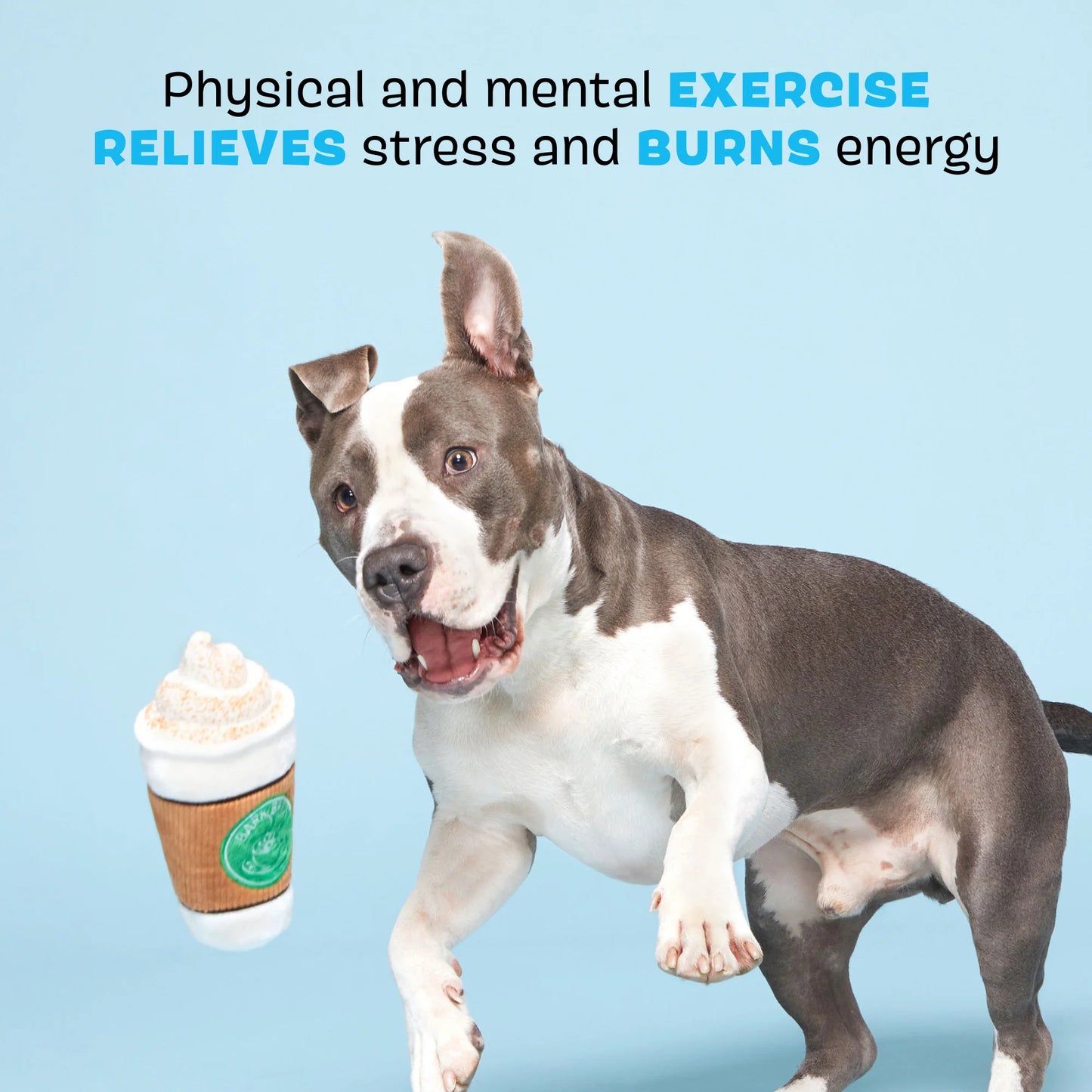 BARK Cup of BARK Roast Dog Toy