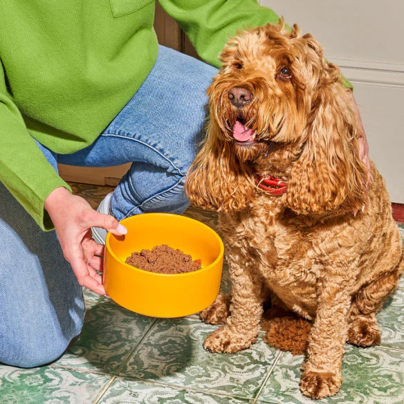 Nutriment Gently Steamed Lamb for dogs 395g