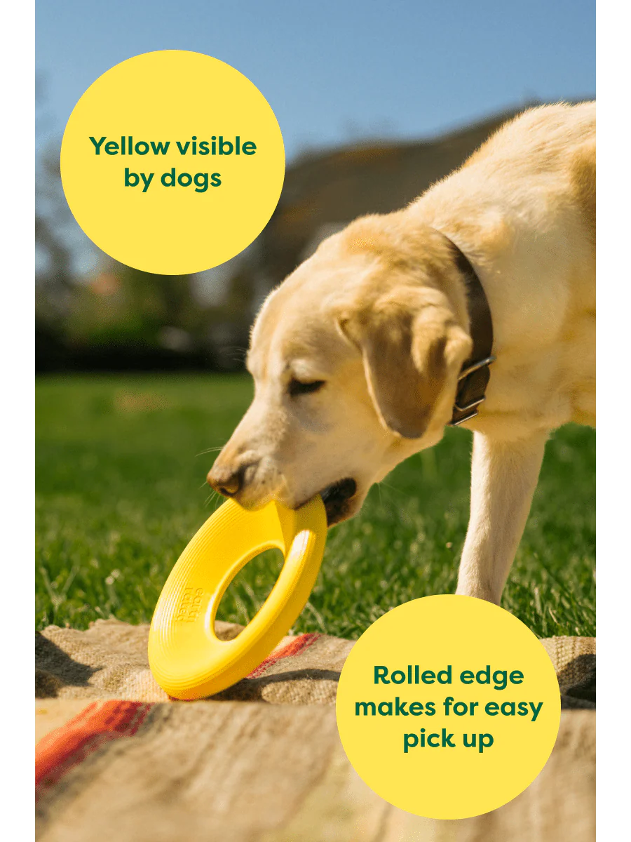 Earth Rated Dog Flyer Toy – Soft, Safe &amp; Easy-to-Throw Flying Disc