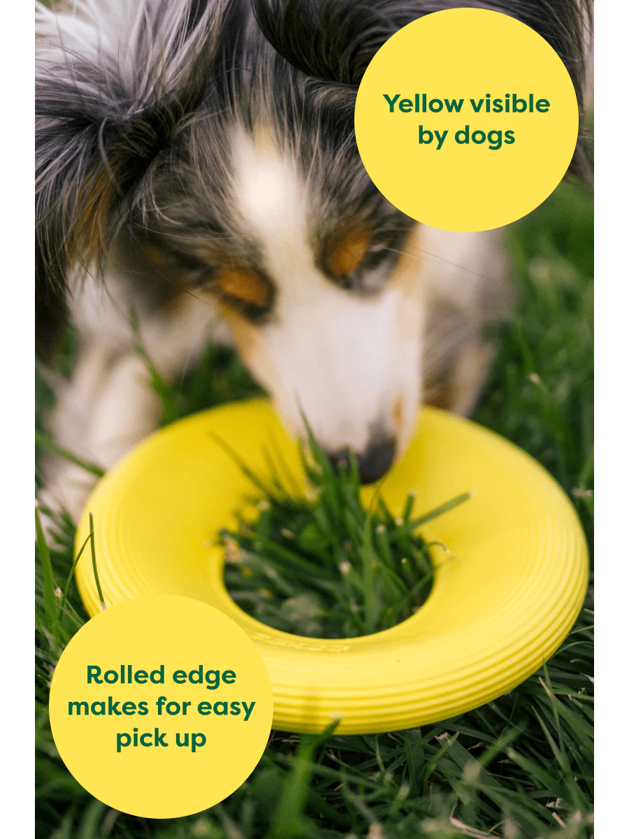 Earth Rated Dog Flyer Toy – Soft, Safe &amp; Easy-to-Throw Flying Disc