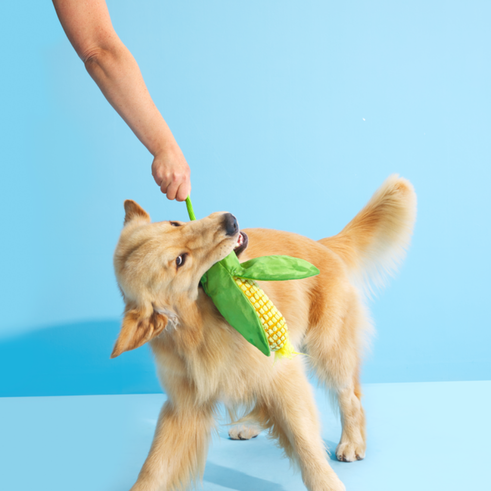 BARK Corn On The Slob Dog Toy