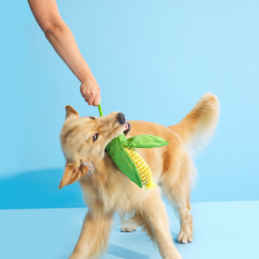 BARK Corn On The Slob Dog Toy