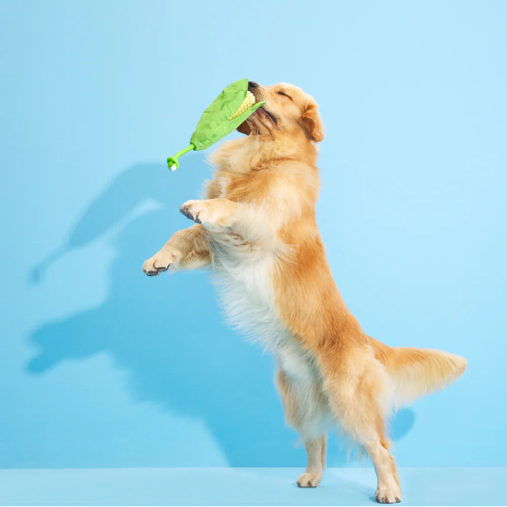 BARK Corn On The Slob Dog Toy