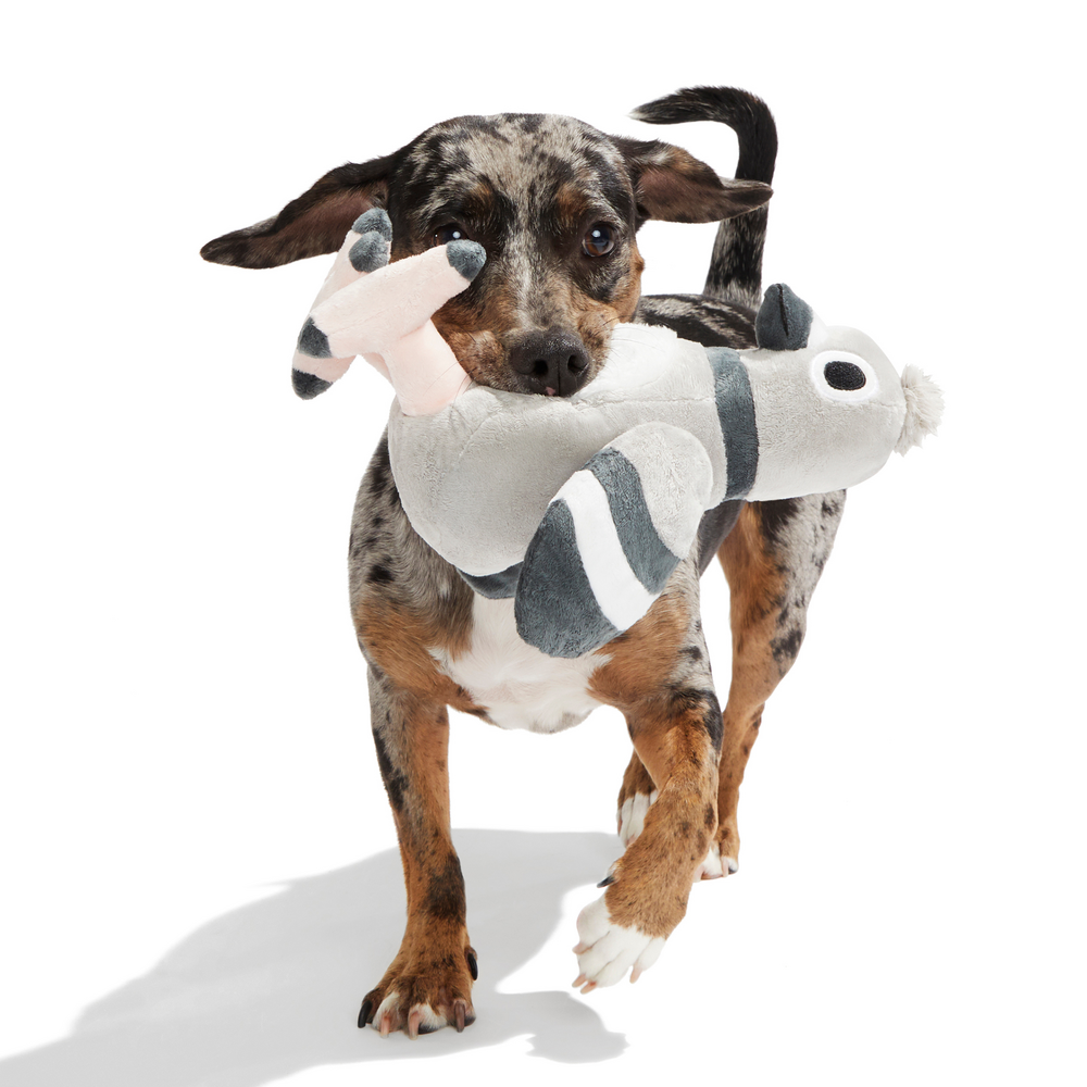BARK Flappin’ Flossie Dog Toy