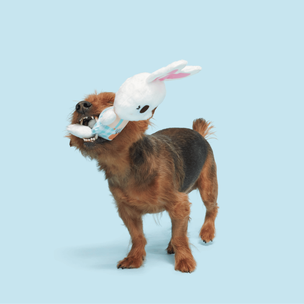 BARK Green Thumb Bun Dog Toy