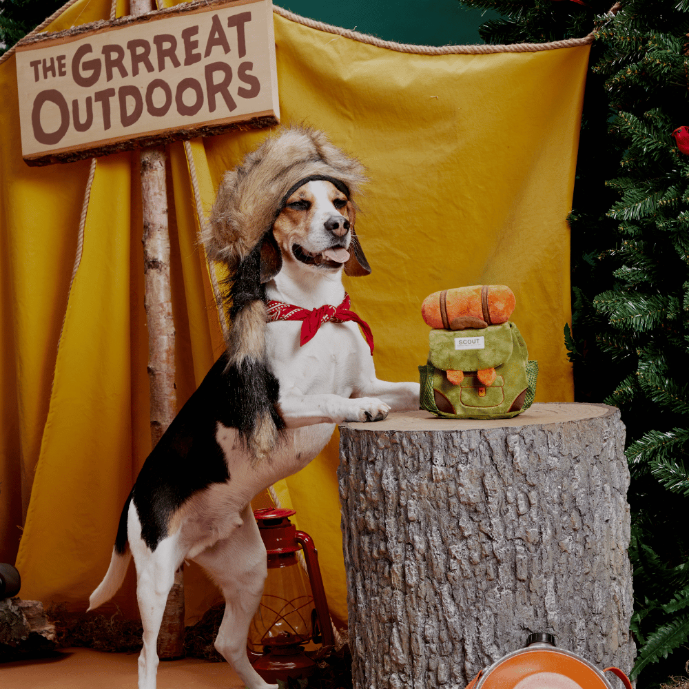 BARK Rowdy Ruckus Rucksack Dog Toy