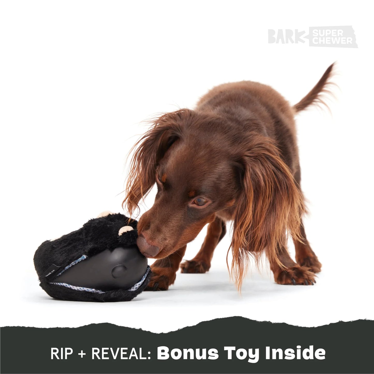 BARK Black Bear Bones Dog Toy