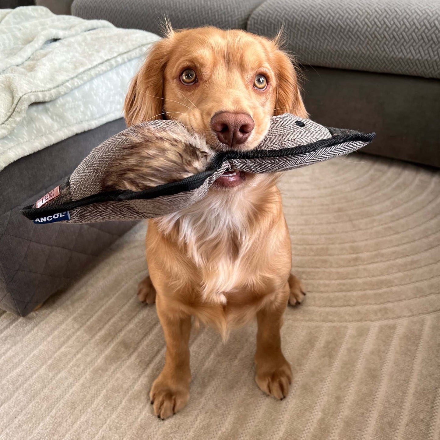 Ancol Heritage Tweed Duck Dog Toy