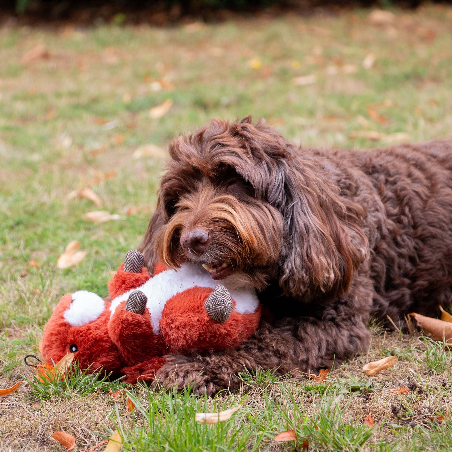 Ancol Heritage Samantha Squirrel Dog Toy