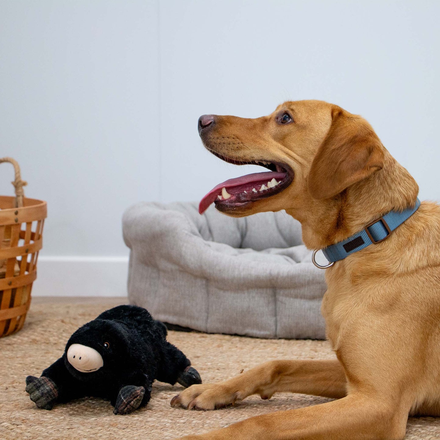 Ancol Heritage Montgomery Mole Dog Toy