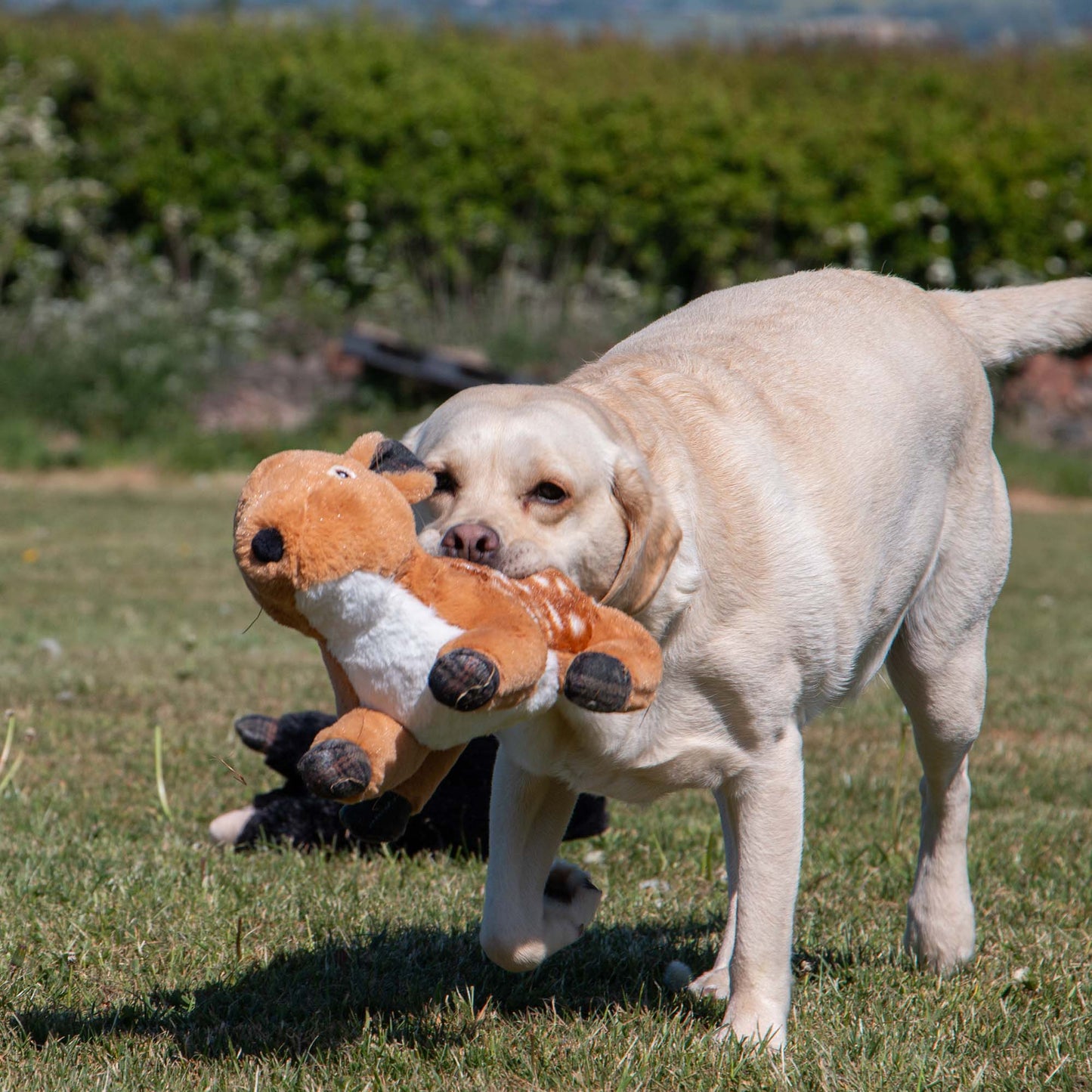 Ancol Heritage Delilah Deer Dog Toy