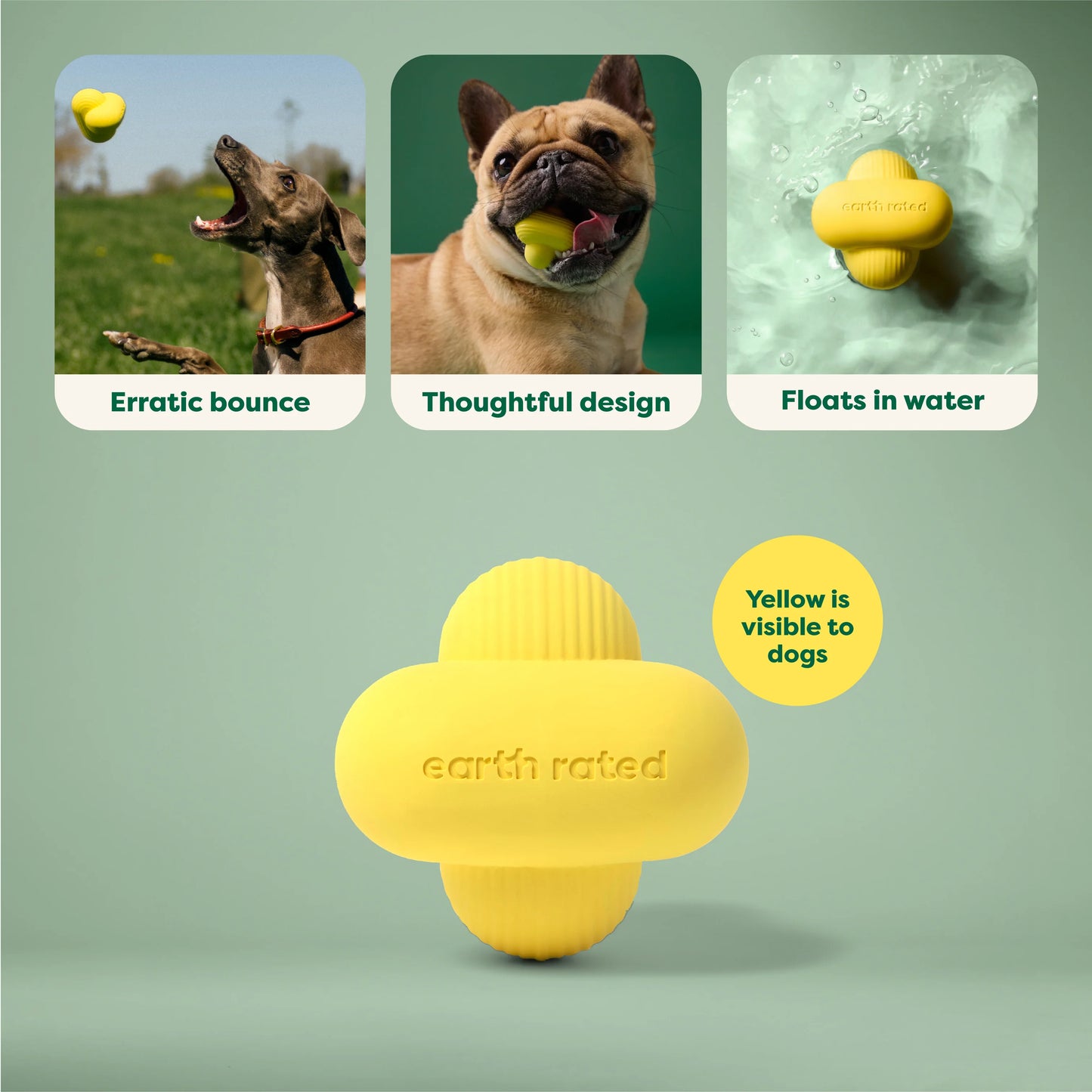 Earth Rated Rubber Fetch Dog Toy