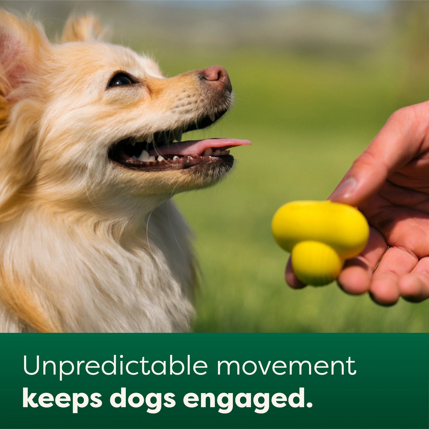 Earth Rated Rubber Fetch Dog Toy