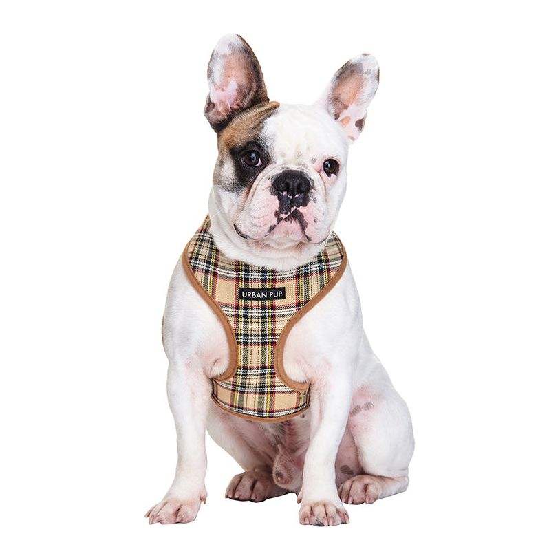 Brown Tartan Harness from Urban Pup