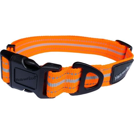 Sports Dog Collar - Orange