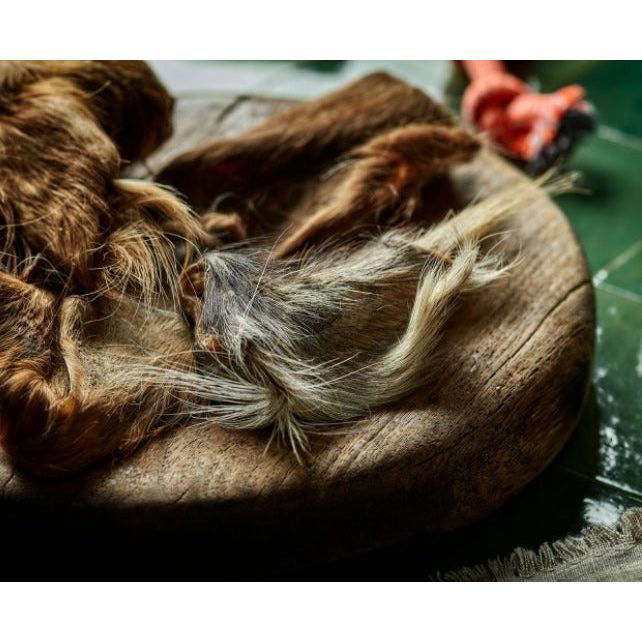 Cotswold RAW Cows Ears With Fur - 3 Pack