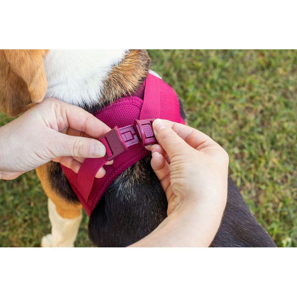 Curli Vest Harness Air-Mesh - Fuchsia