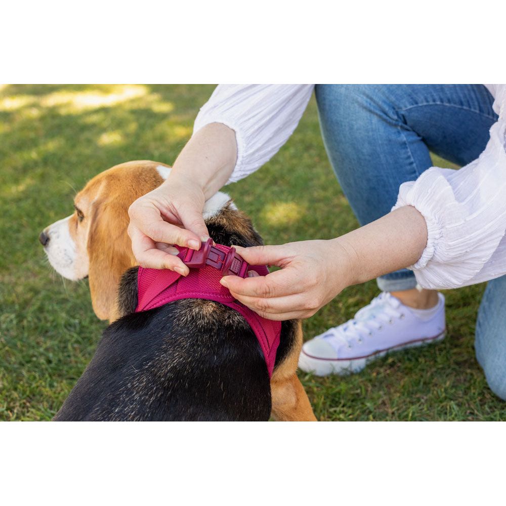 Curli Vest Harness Air-Mesh - Fuchsia