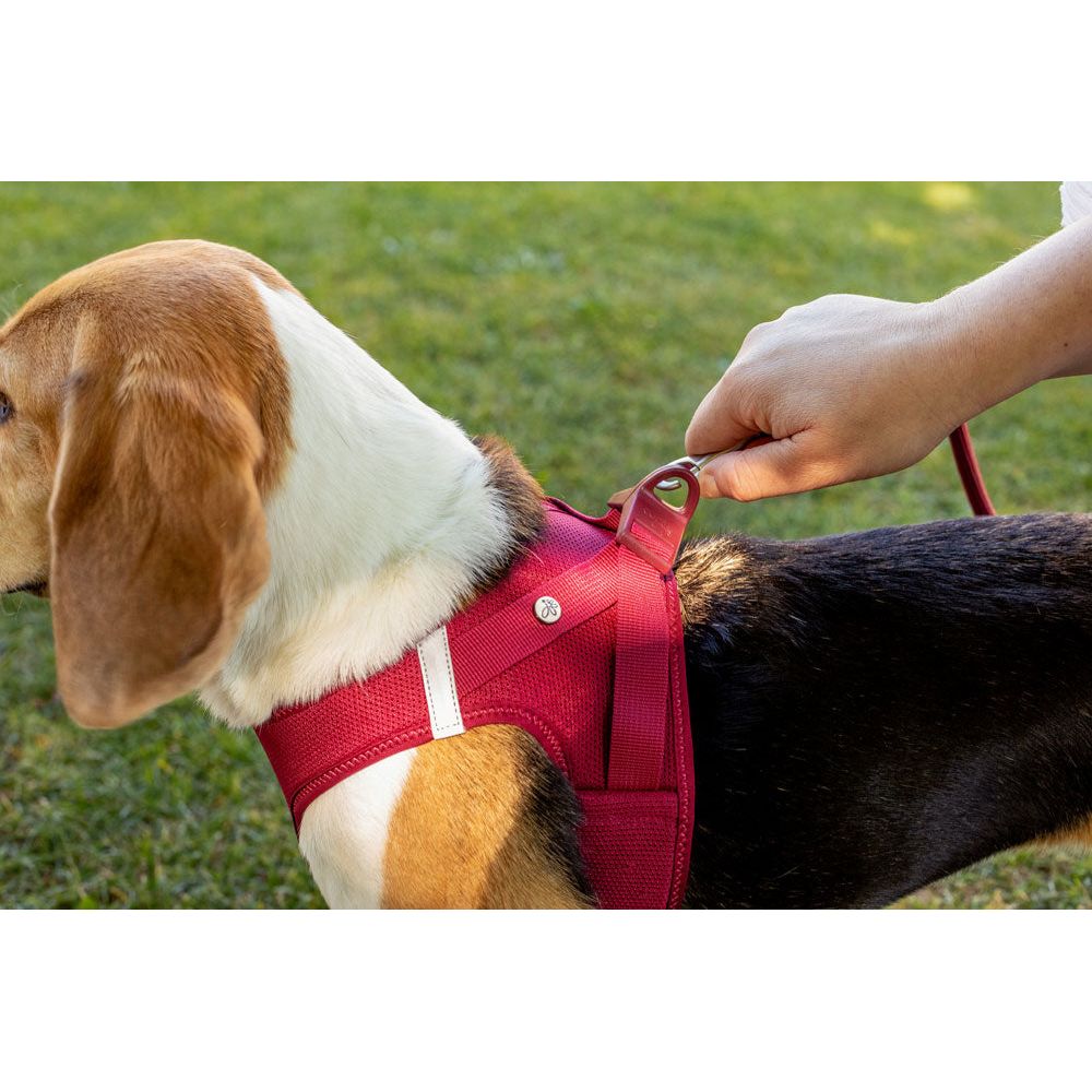 Curli Vest Harness Air-Mesh - Fuchsia