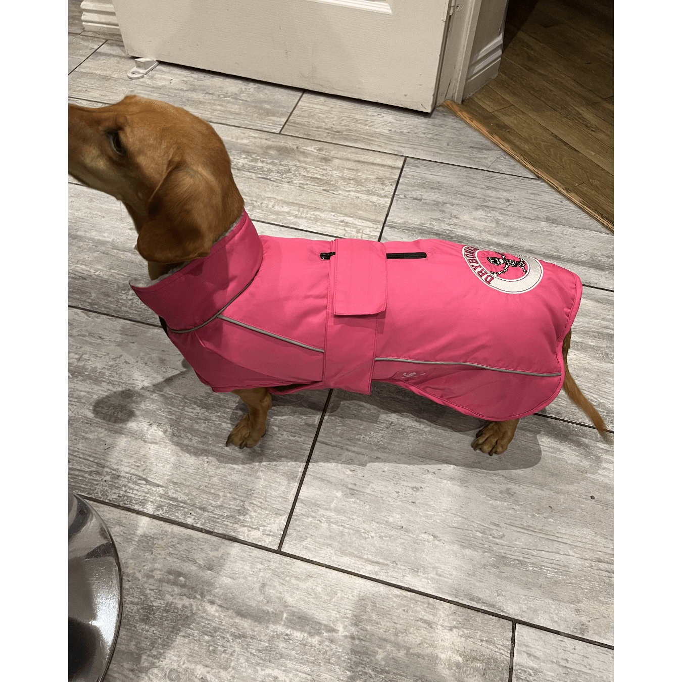 DRYBONES Waterproof Dog Coat - Aqua Blue