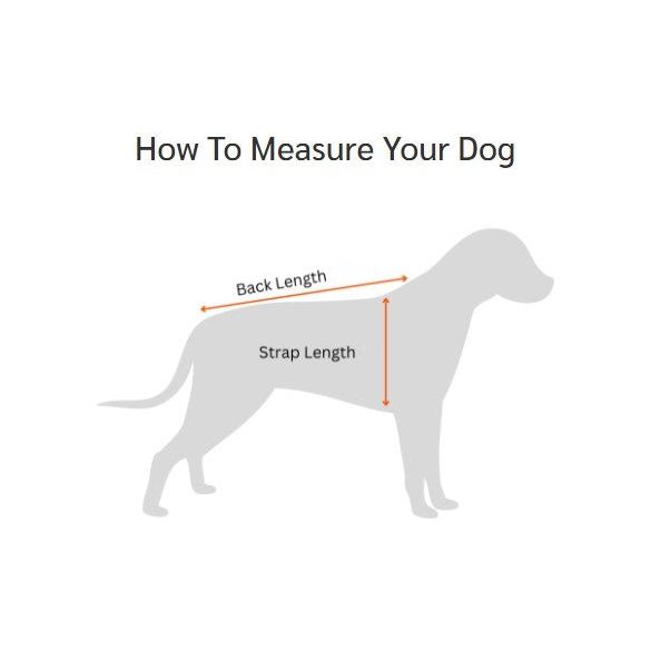 DRYBONES Waterproof Dog Coat - Aqua Blue