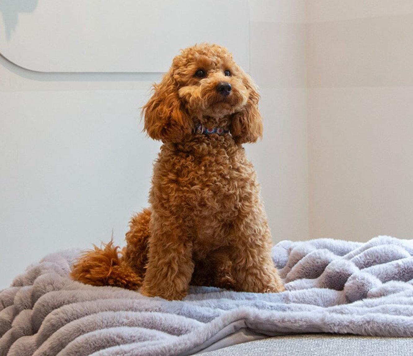 Scruffs Aspen Dog Blanket – Grey