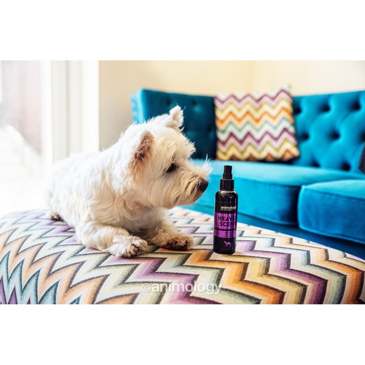 Animology Heaven Scent Fragrance Spray 150ml