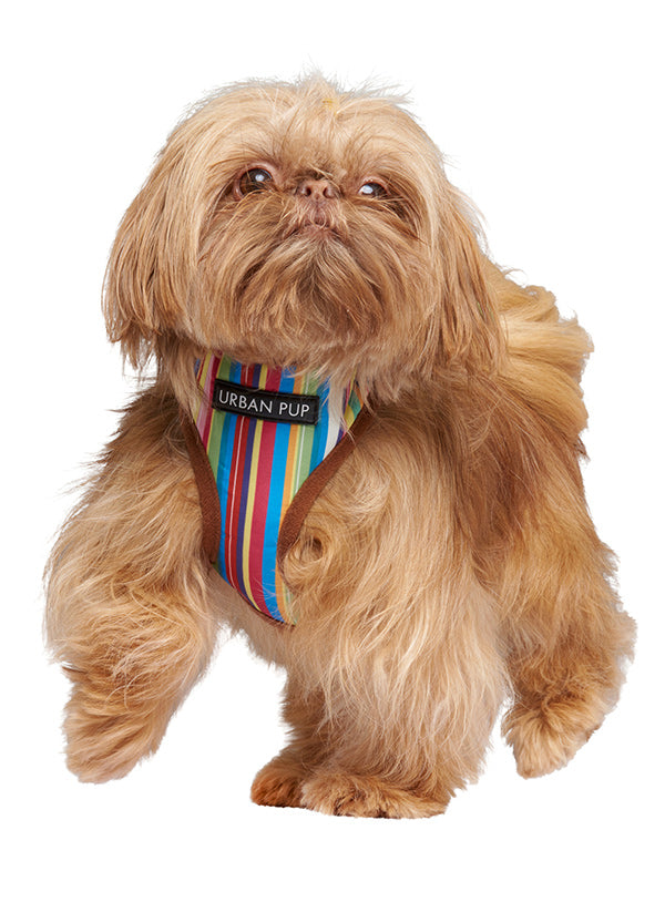 Henley Striped Harness from Urban Pup
