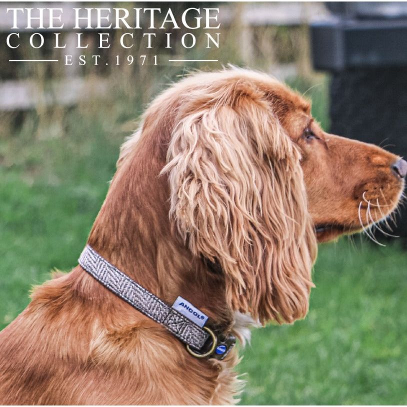 Herringbone Adjustable Collar