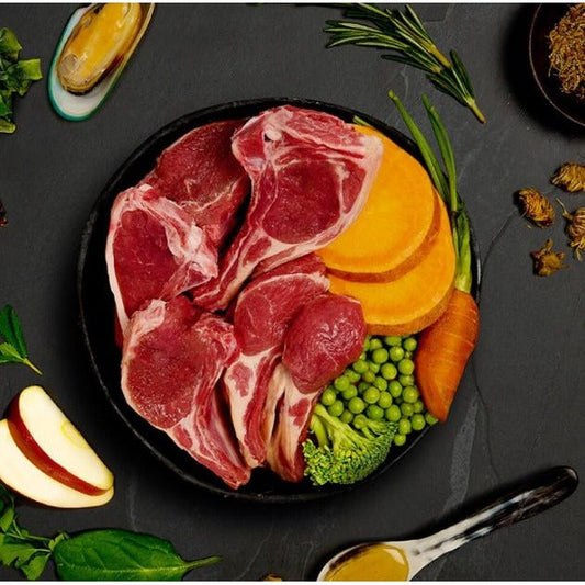 Canagan Lamb Casserole Tin - 400g