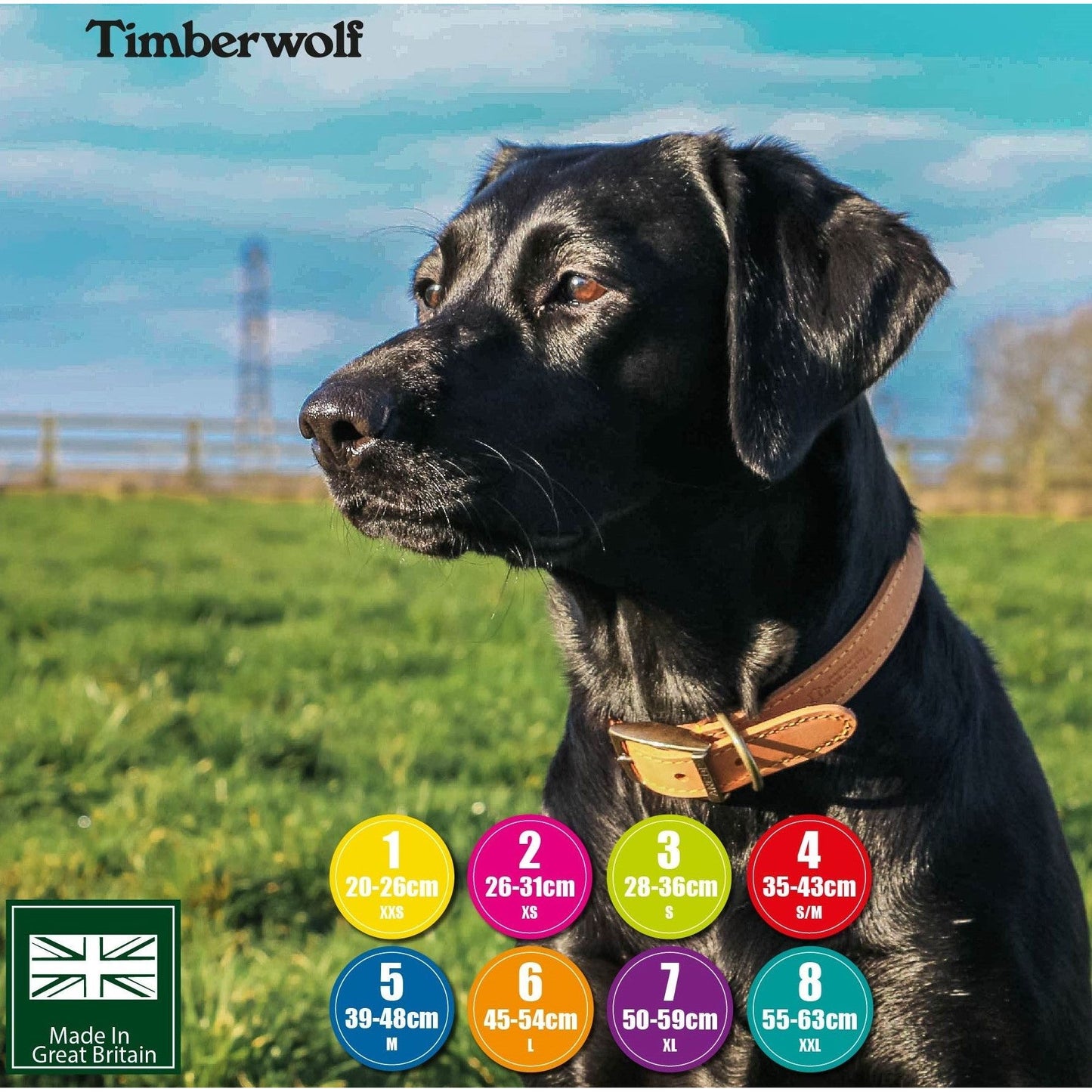Timberwolf Leather Collar - Mustard