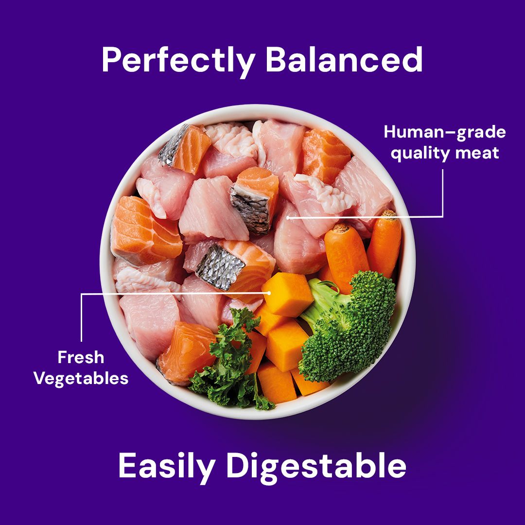 Nutriment Salmon & Turkey Formula - 500g