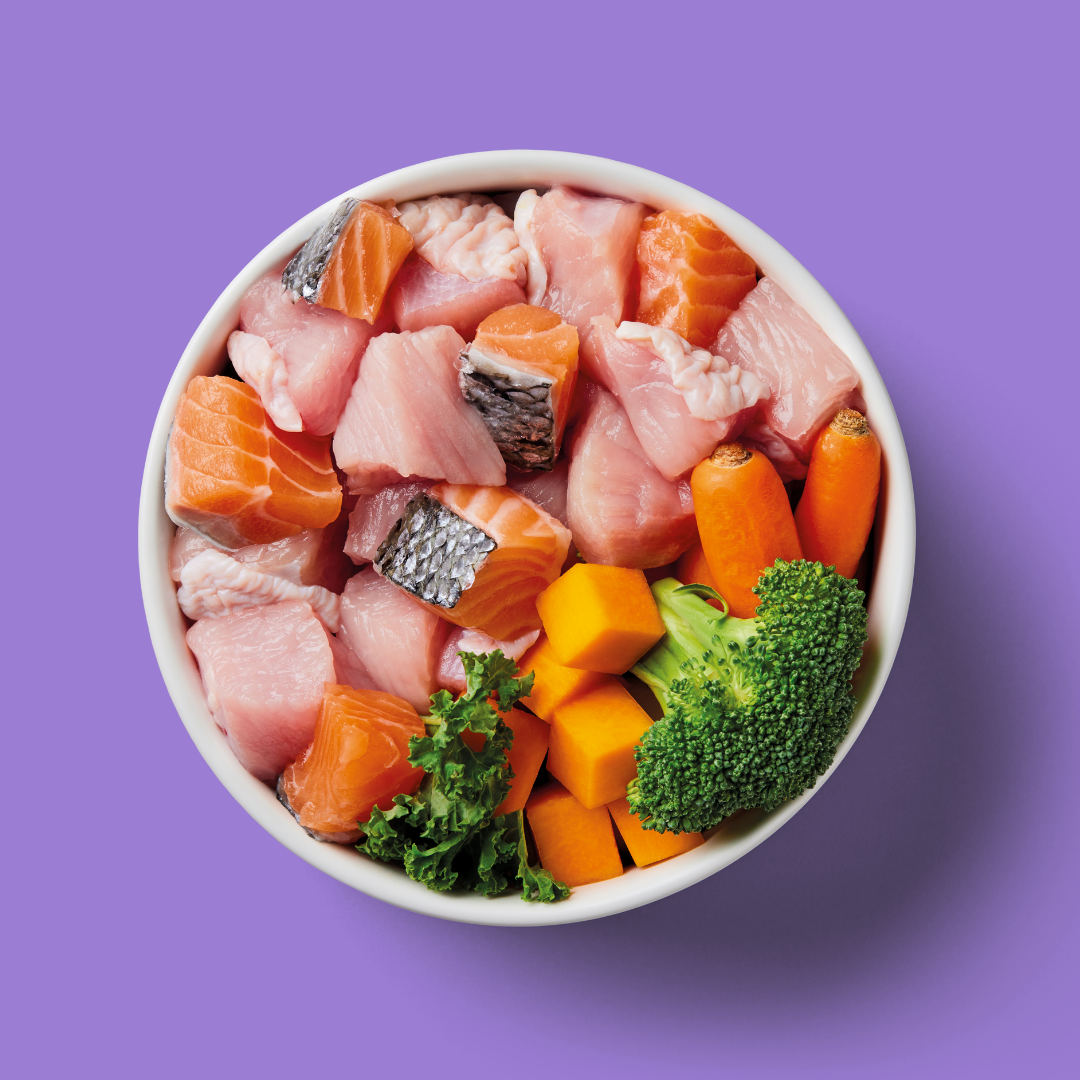 Nutriment Salmon & Turkey Formula - 500g