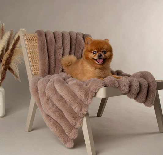 Scruffs Aspen Dog Blanket – Taupe