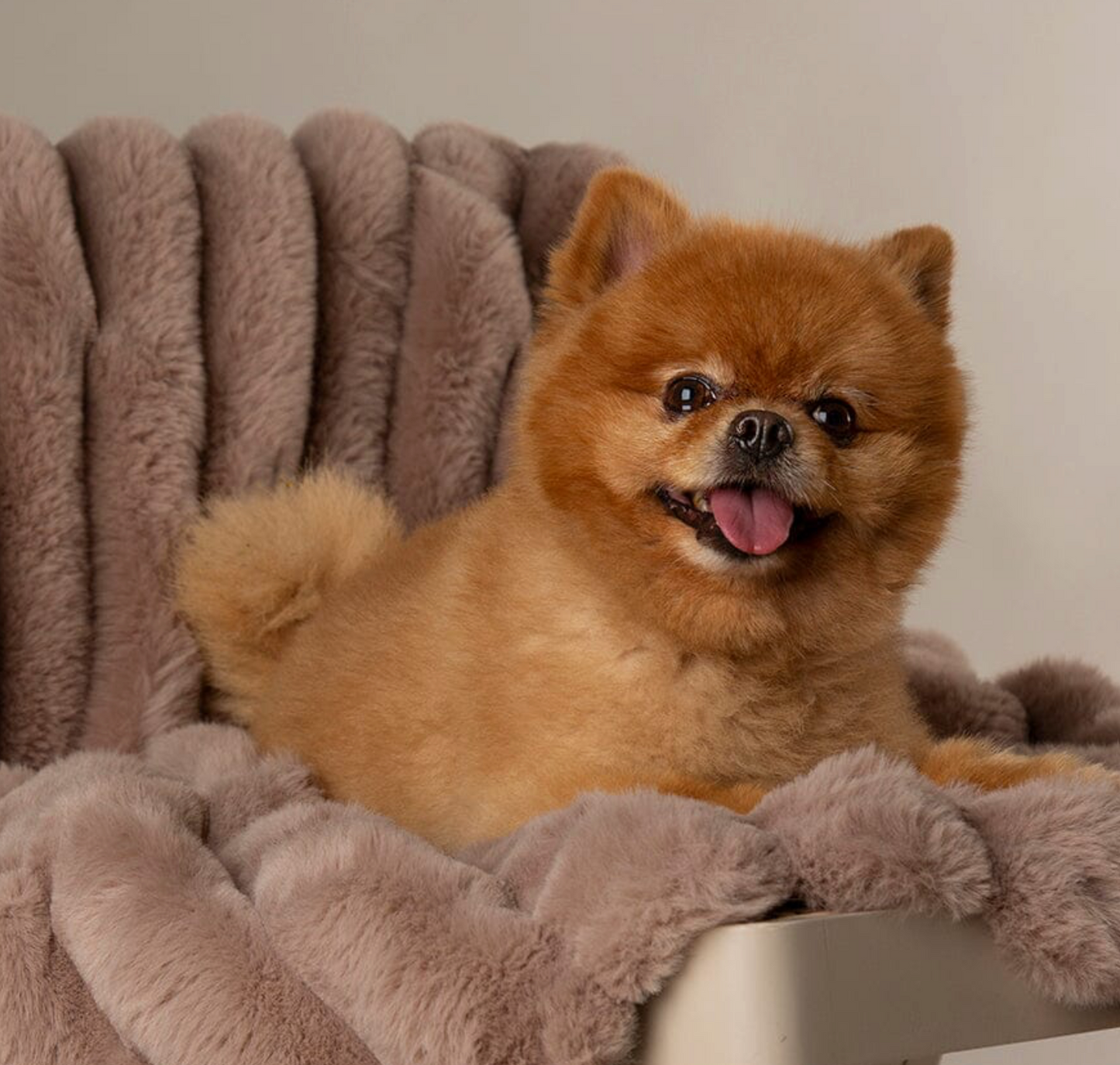 Scruffs Aspen Dog Blanket – Taupe