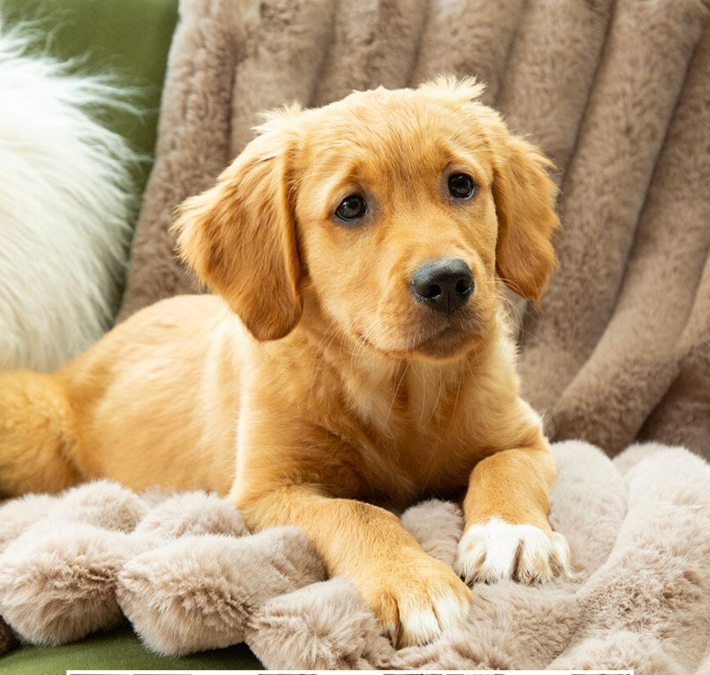 Scruffs Aspen Dog Blanket – Taupe