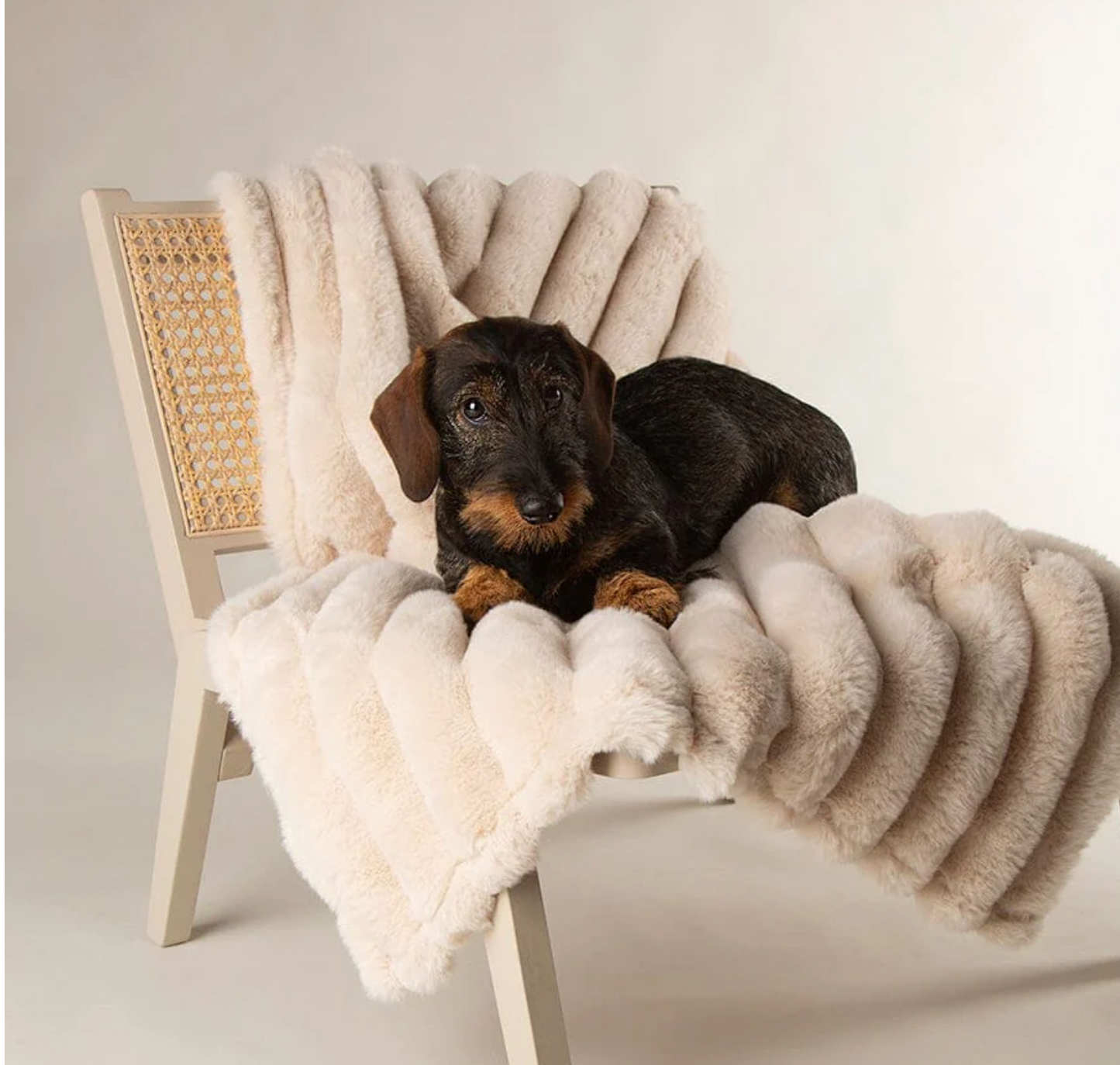 Scruffs Aspen Dog Blanket – Cream