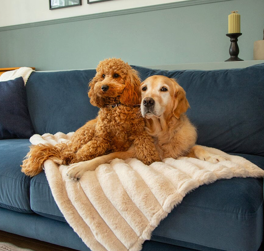Scruffs Aspen Dog Blanket – Cream