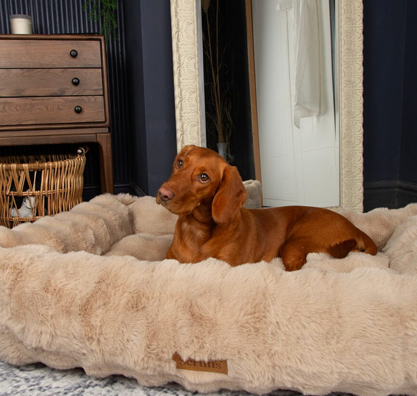 Scruffs Alpine Box Bed – Cream