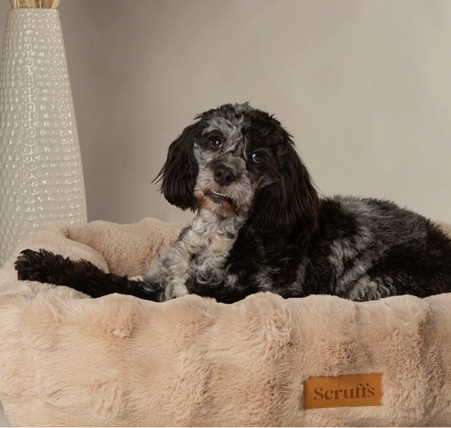 Scruffs Alpine Box Bed – Cream