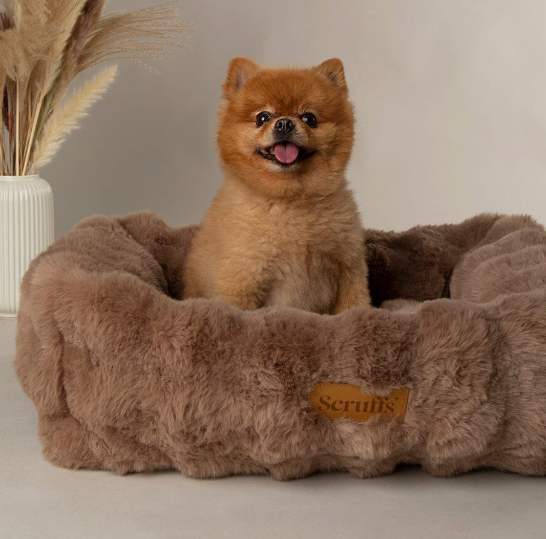 Scruffs Alpine Box Bed – Taupe