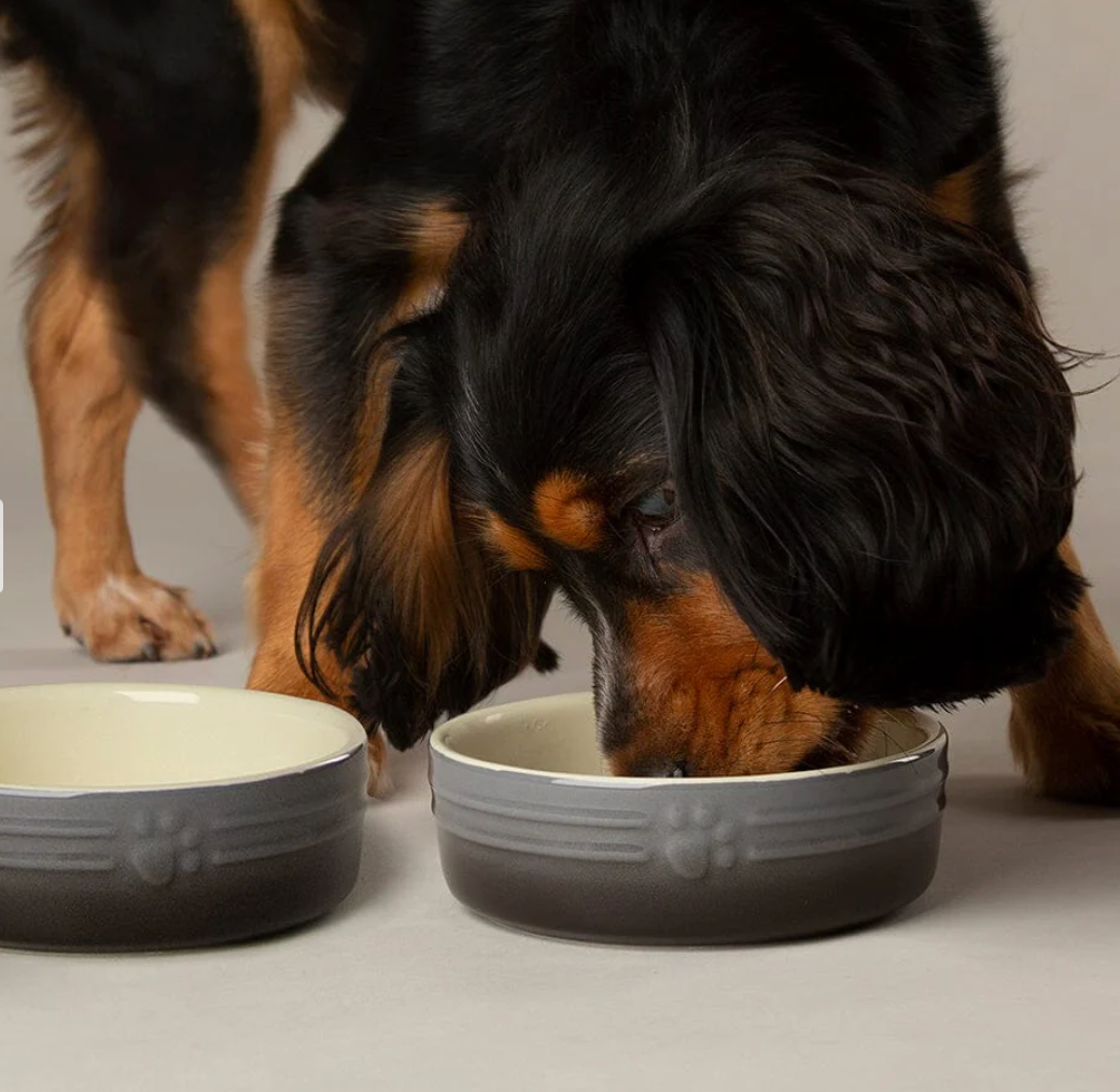 Scruffs Ombre Dog Food / Water Bowl – Grey