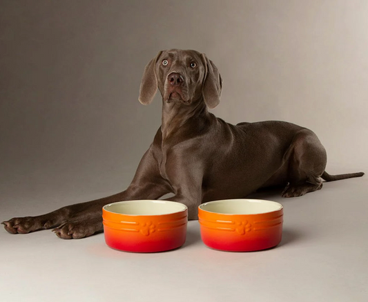 Scruffs Ombre Dog Food / Water Bowl – Orange