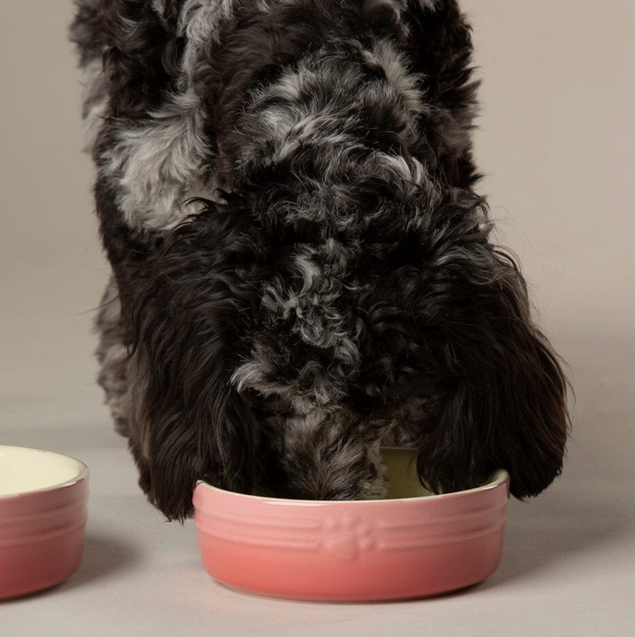 Scruffs Ombre Dog Food / Water Bowl – Pink
