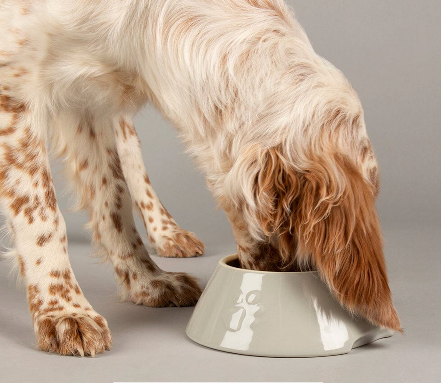 Scruffs Icon Long Eared Dog Bowl – Light Grey